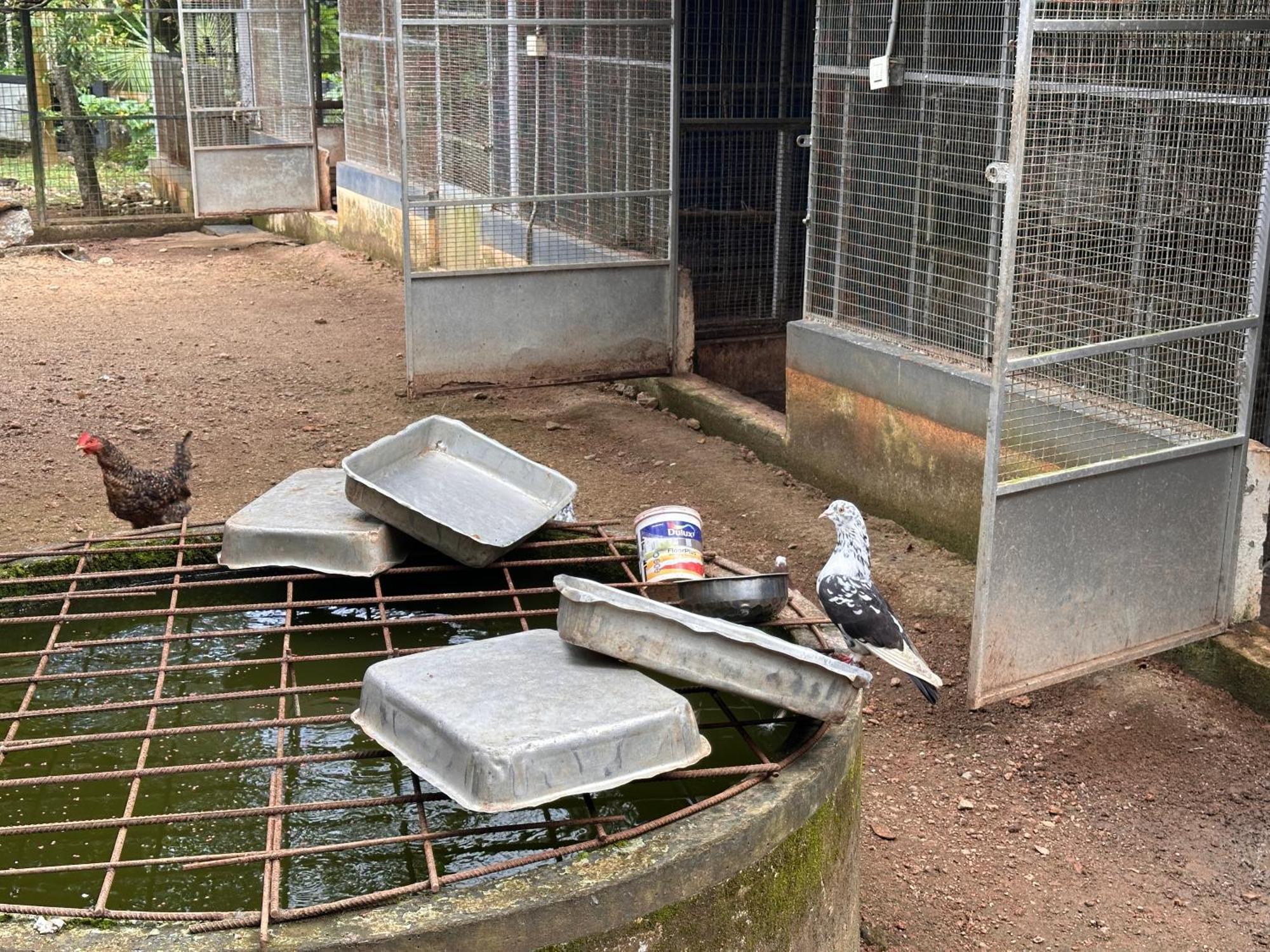 Kattil Farm Stay Varkala Thiruvananthapuram Buitenkant foto