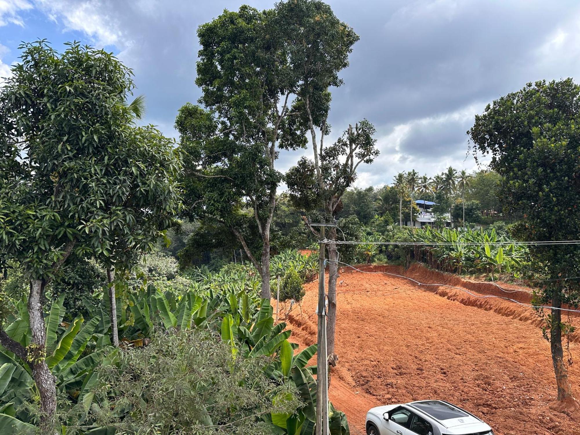 Kattil Farm Stay Varkala Thiruvananthapuram Buitenkant foto