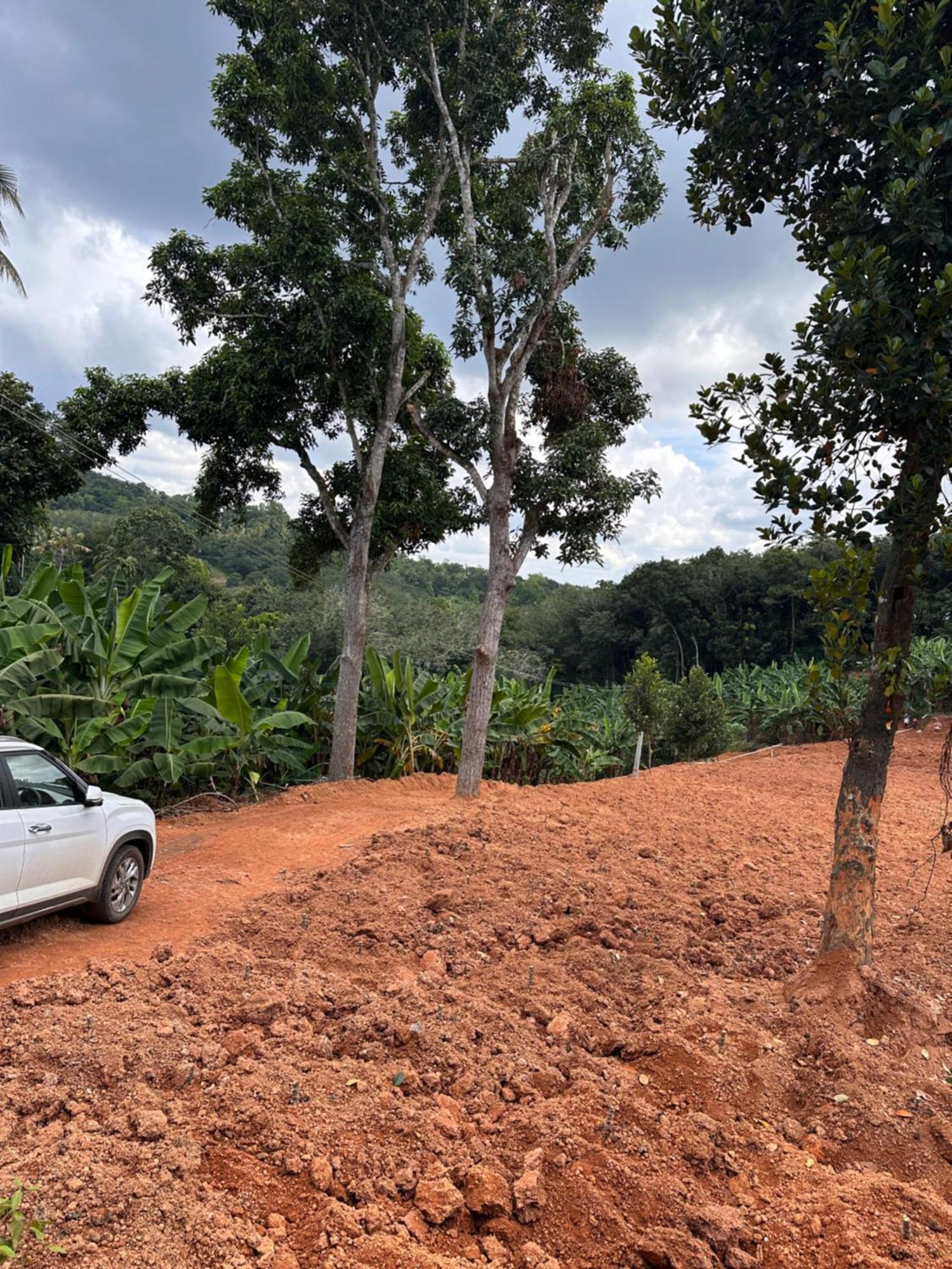 Kattil Farm Stay Varkala Thiruvananthapuram Buitenkant foto